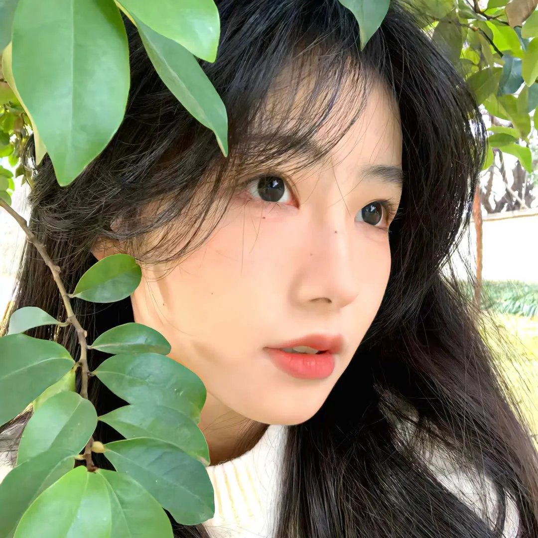邻里美好的一天