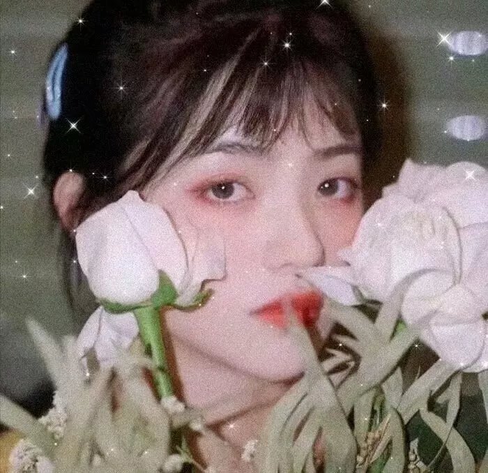 稗记舞咏